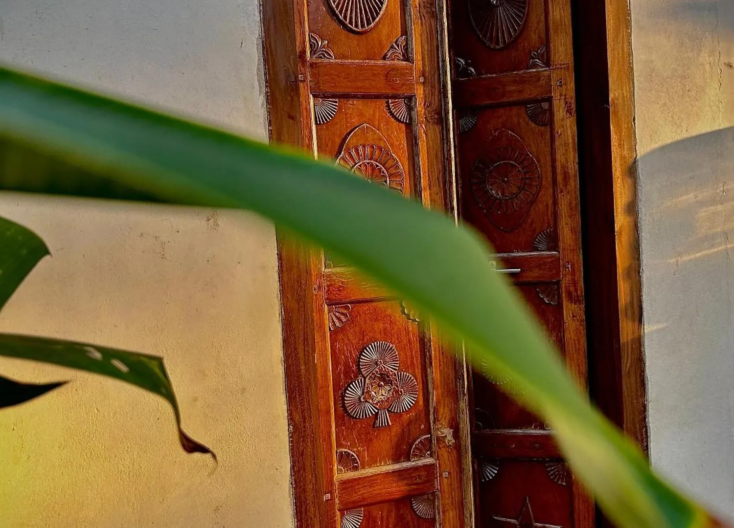 Bed and Breakfast Sunset And Palm Trees - An Airport Boutique By The Sea Thiruvananthapuram Bed & Breakfast