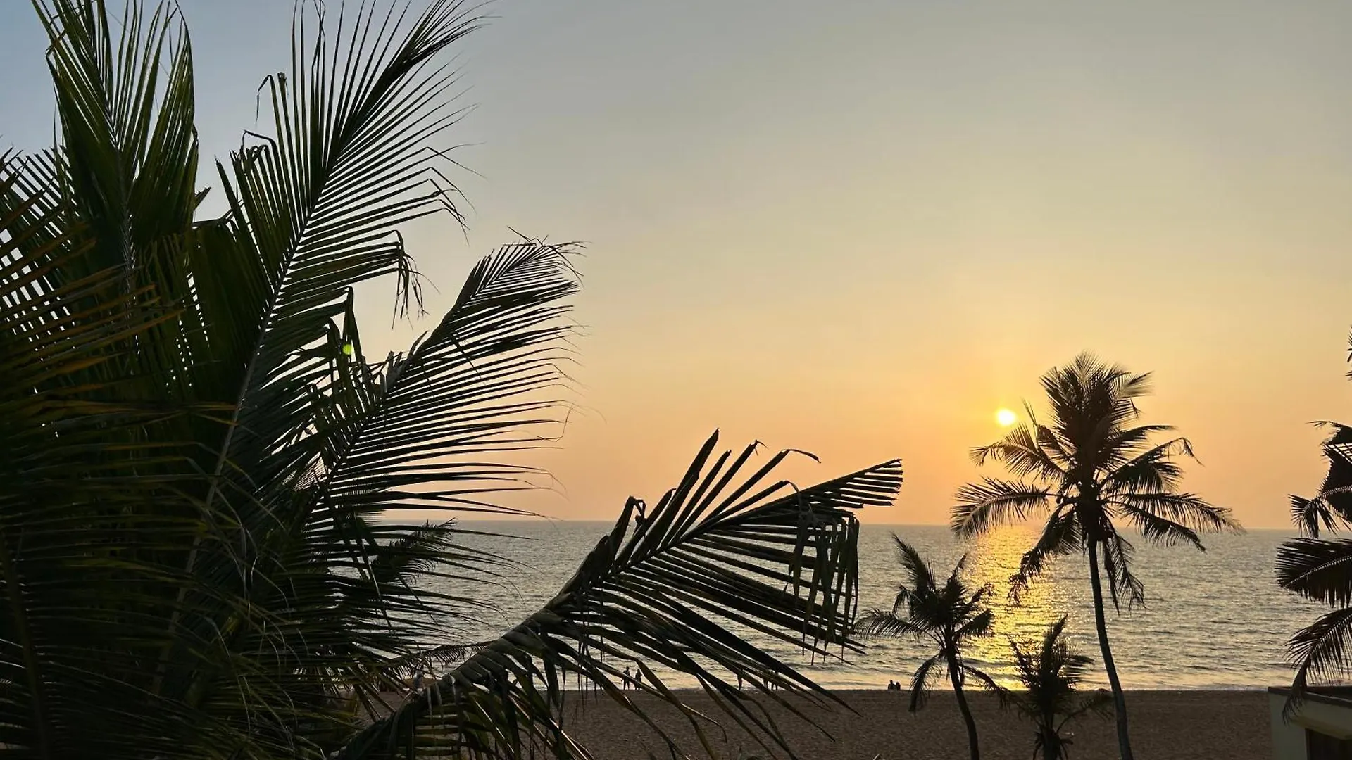 트리반드룸 Sunset And Palm Trees - An Airport Boutique By The Sea B&B